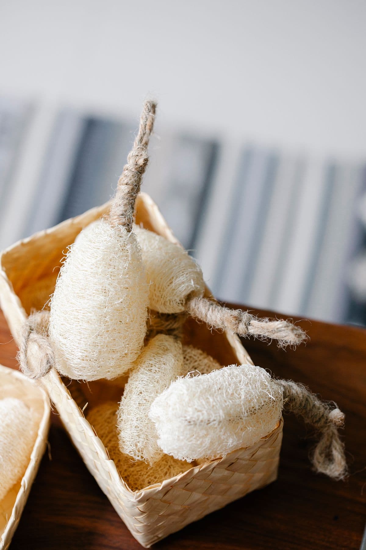 Eco natural sponge and loofah collection for pet toys and gift set sourcing