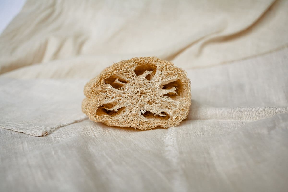 Coussinets de luffa ronds aperçu du produit en gros